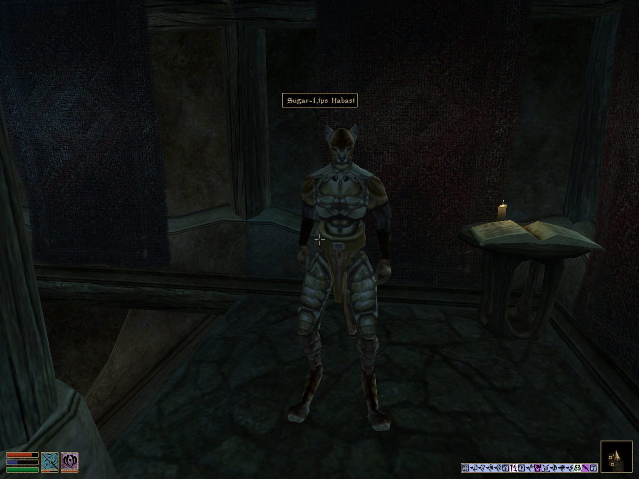 Elder Scrolls: Morrowind Guides and Walkthroughs